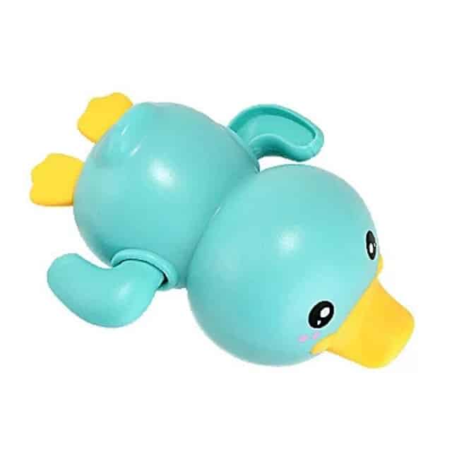 Blue Duck